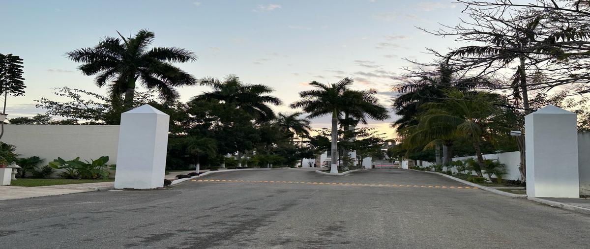 Foto de terreno habitacional en venta en  , cholul, mérida, yucatán, 0 No. 05