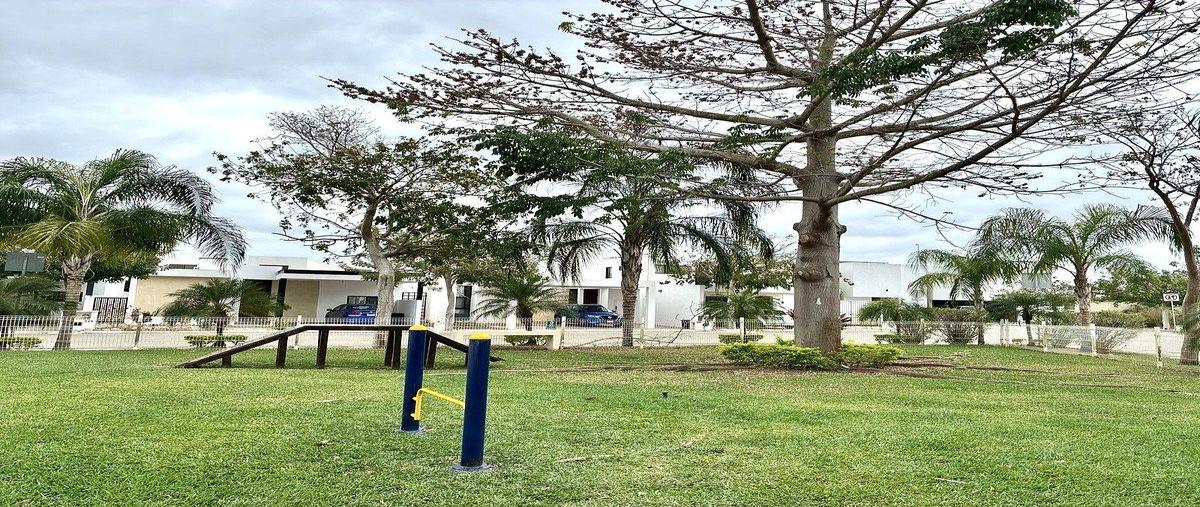 Foto de casa en venta en  , cholul, mérida, yucatán, 0 No. 04