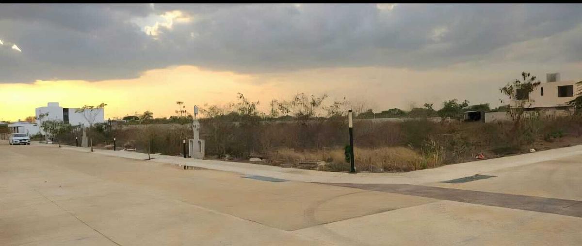 Foto de terreno habitacional en venta en  , cholul, mérida, yucatán, 0 No. 05