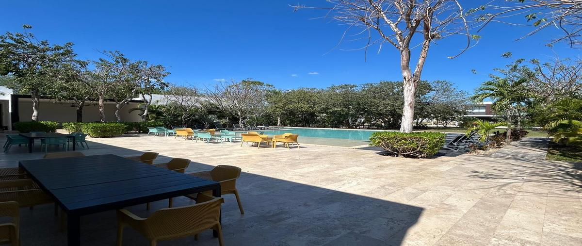 Foto de terreno habitacional en venta en  , cholul, mérida, yucatán, 31426402 No. 03