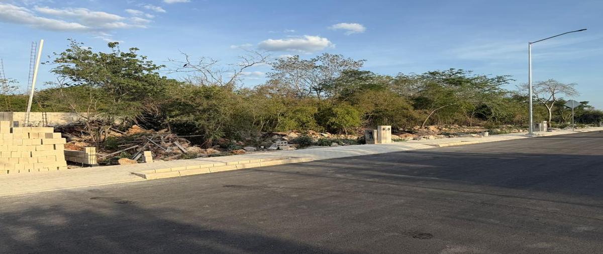 Foto de terreno habitacional en venta en  , cholul, mérida, yucatán, 31426428 No. 03