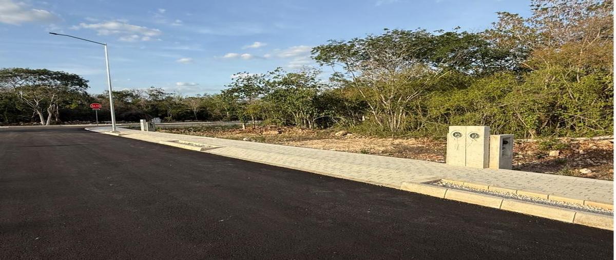 Foto de terreno habitacional en venta en  , cholul, mérida, yucatán, 31426428 No. 05