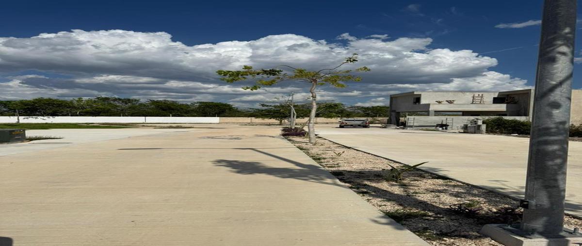 Foto de terreno habitacional en venta en  , cholul, mérida, yucatán, 0 No. 04