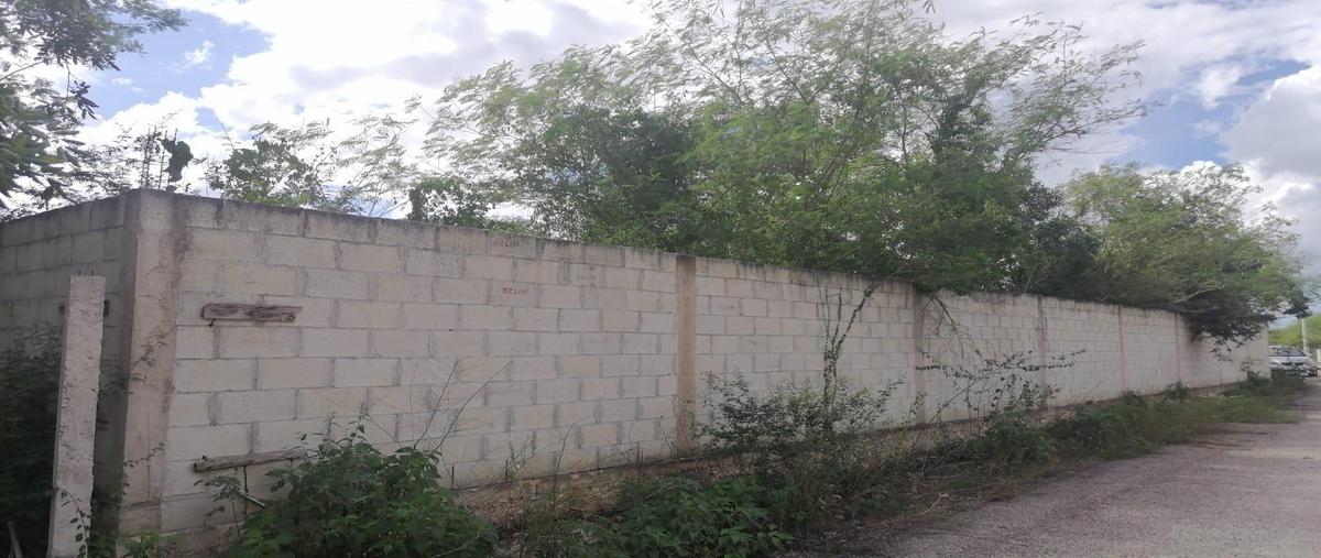 Foto de terreno habitacional en , cholul, mérida, yucatán, 0 foto 02 Foto de terreno habitacional en renta en , cholul, mérida, yucatán, 0 No. 02