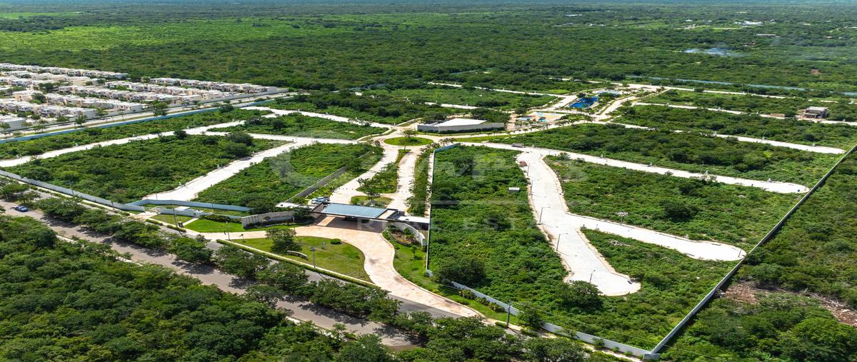Foto de terreno habitacional en venta en  , cholul, mérida, yucatán, 0 No. 05