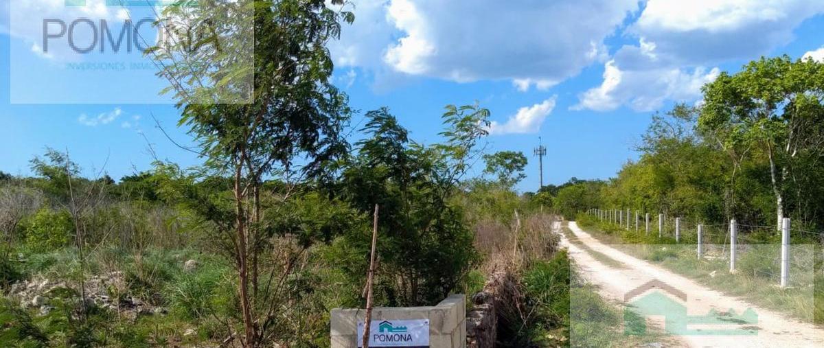 Foto de terreno habitacional en , cholul, mérida, yucatán, 7160727 foto 03 Foto de terreno habitacional en venta en , cholul, mérida, yucatán, 7160727 No. 03