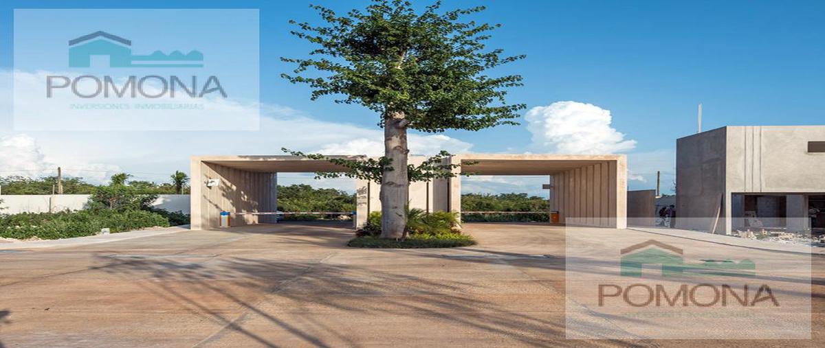 Foto de terreno habitacional en venta en  , cholul, mérida, yucatán, 7527491 No. 03