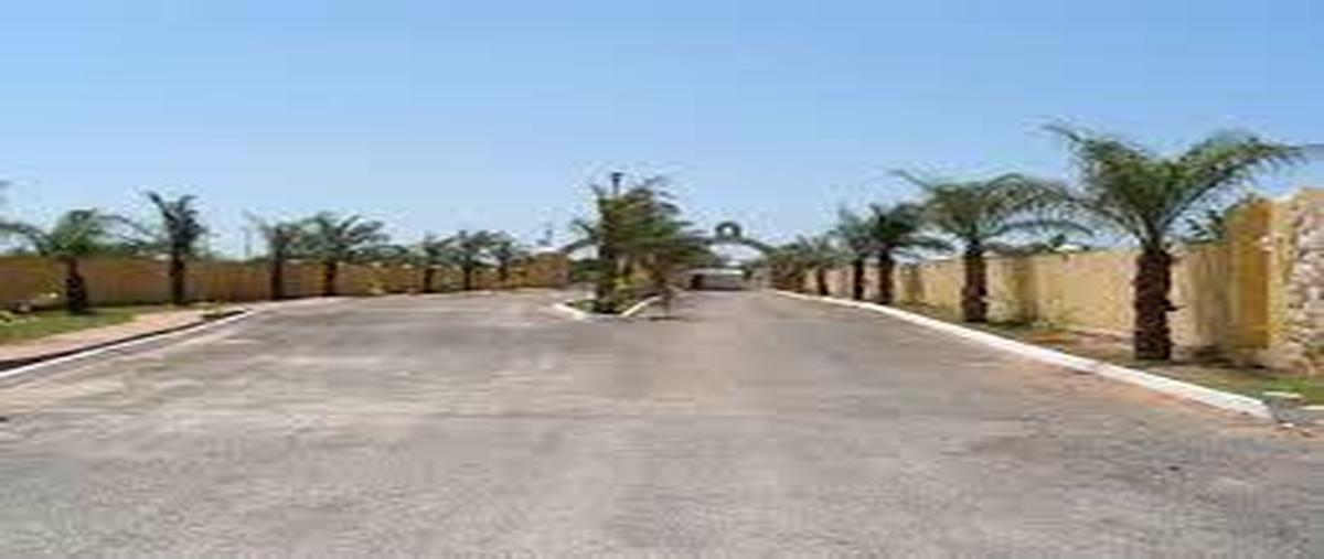 Foto de terreno habitacional en , cholul, mérida, yucatán, 7636638 foto 03 Foto de terreno habitacional en venta en , cholul, mérida, yucatán, 7636638 No. 03