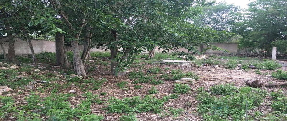 Foto de terreno habitacional en venta en  , cholul, mérida, yucatán, 8068347 No. 03