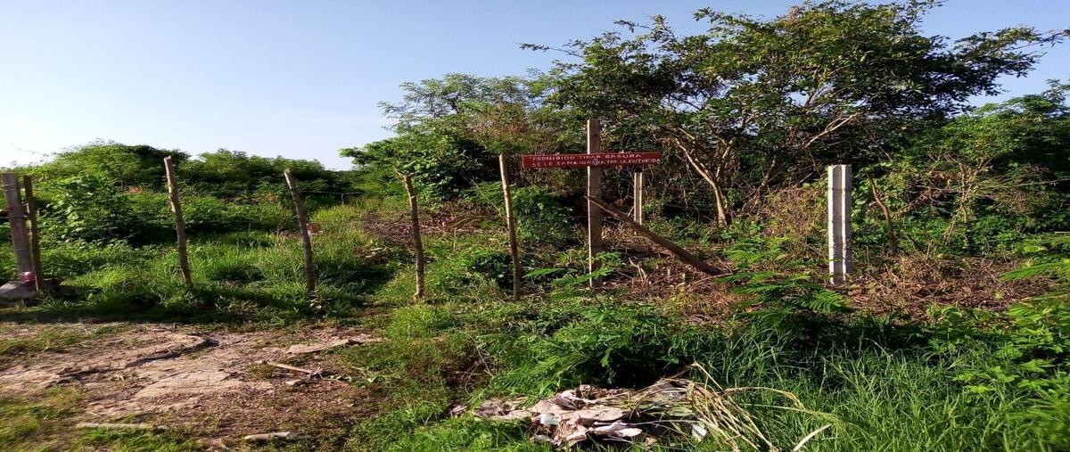Foto de terreno habitacional en venta en cholul, mérida, yucatán , cholul, mérida, yucatán, 0 No. 03