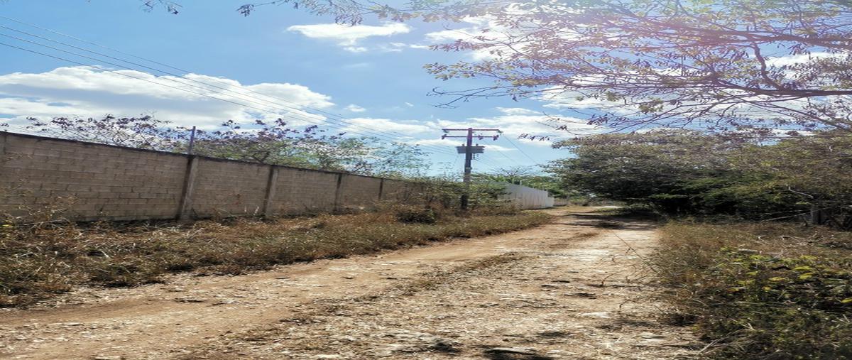 Foto de terreno habitacional en venta en cholul whi291195, cholul, mérida, yucatán, 25861788 No. 03
