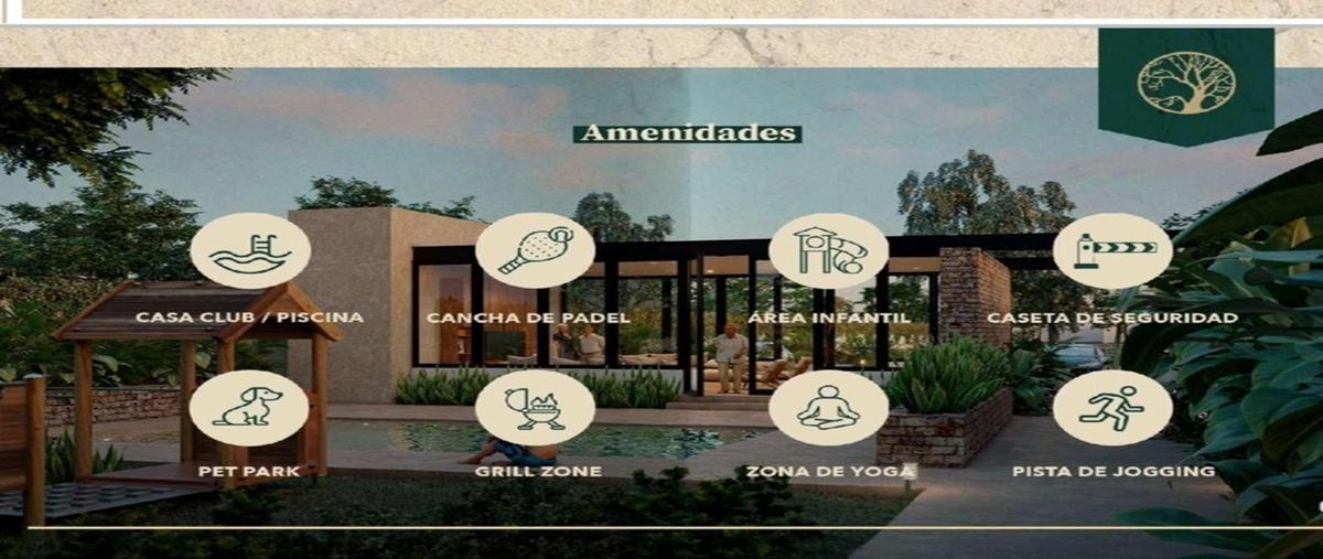 Foto de terreno habitacional en cholul whi298483, cholul, mérida, yucatán, 26725749 foto 05 Foto de terreno habitacional en venta en cholul whi298483, cholul, mérida, yucatán, 26725749 No. 05