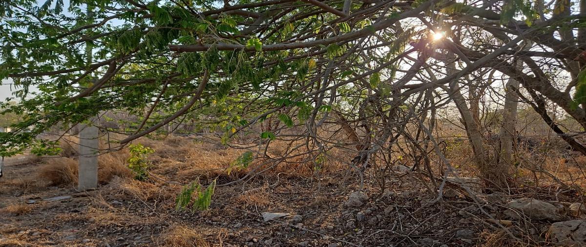 Foto de terreno habitacional en venta en cholul whi307130, cholul, mérida, yucatán, 0 No. 03