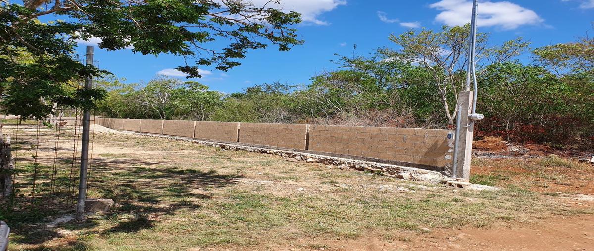 Foto de terreno habitacional en cholul whi310382, cholul, mérida, yucatán, 0 foto 03 Foto de terreno habitacional en venta en cholul whi310382, cholul, mérida, yucatán, 0 No. 03