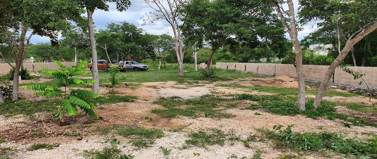 Foto de terreno habitacional en cholul whi310382, cholul, mérida, yucatán, 0 foto 04 Foto de terreno habitacional en venta en cholul whi310382, cholul, mérida, yucatán, 0 No. 04