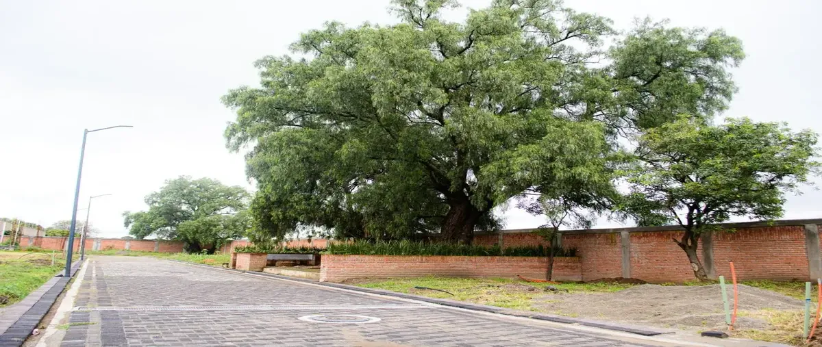 Foto de terreno habitacional en venta en cholula 101, cholula, san pedro cholula, puebla, 0 No. 03