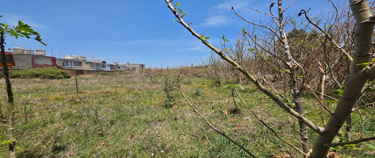 Foto de terreno habitacional en venta en  , cholula, san pedro cholula, puebla, 0 No. 03