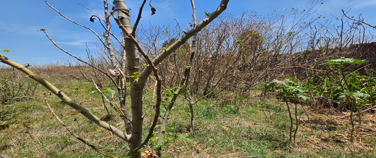 Foto de terreno habitacional en venta en  , cholula, san pedro cholula, puebla, 0 No. 04