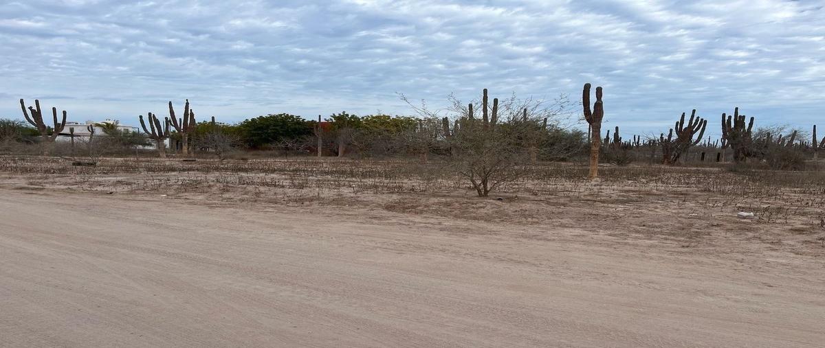 Foto de terreno habitacional en venta en choya , ampliación centenario, la paz, baja california sur, 0 No. 03