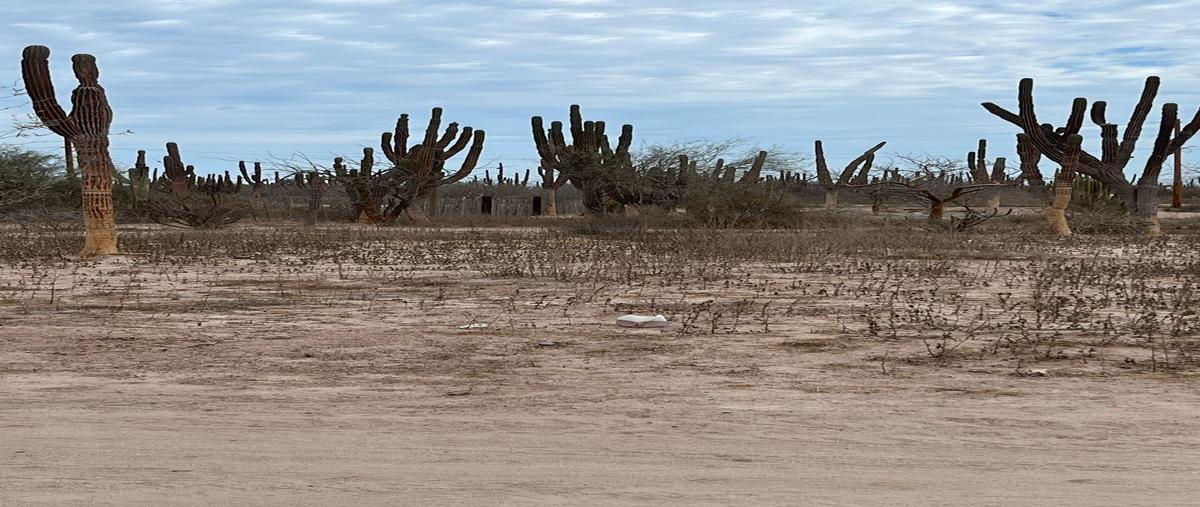 Foto de terreno habitacional en venta en choya , ampliación centenario, la paz, baja california sur, 0 No. 04
