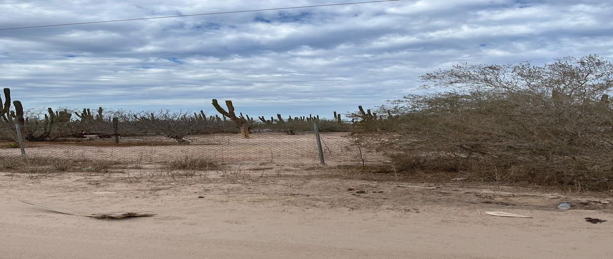 Foto de terreno habitacional en venta en choya , ampliación centenario, la paz, baja california sur, 0 No. 05