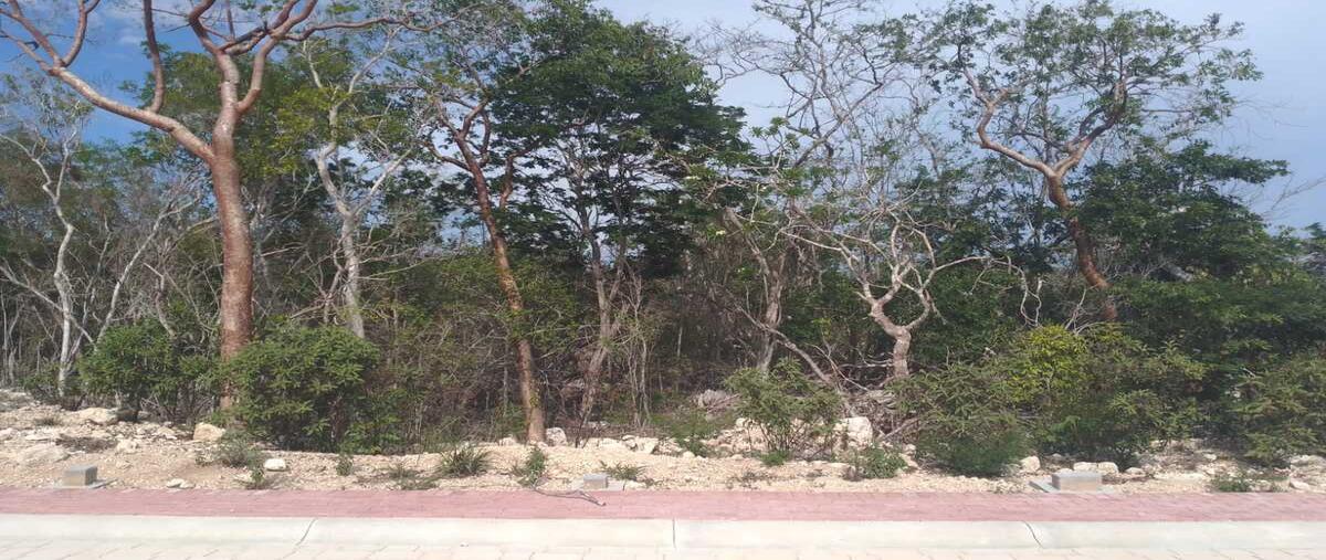 Foto de terreno habitacional en , chuburna de hidalgo, mérida, yucatán, 0 foto 01 Foto de terreno habitacional en venta en , chuburna de hidalgo, mérida, yucatán, 0 No. 01