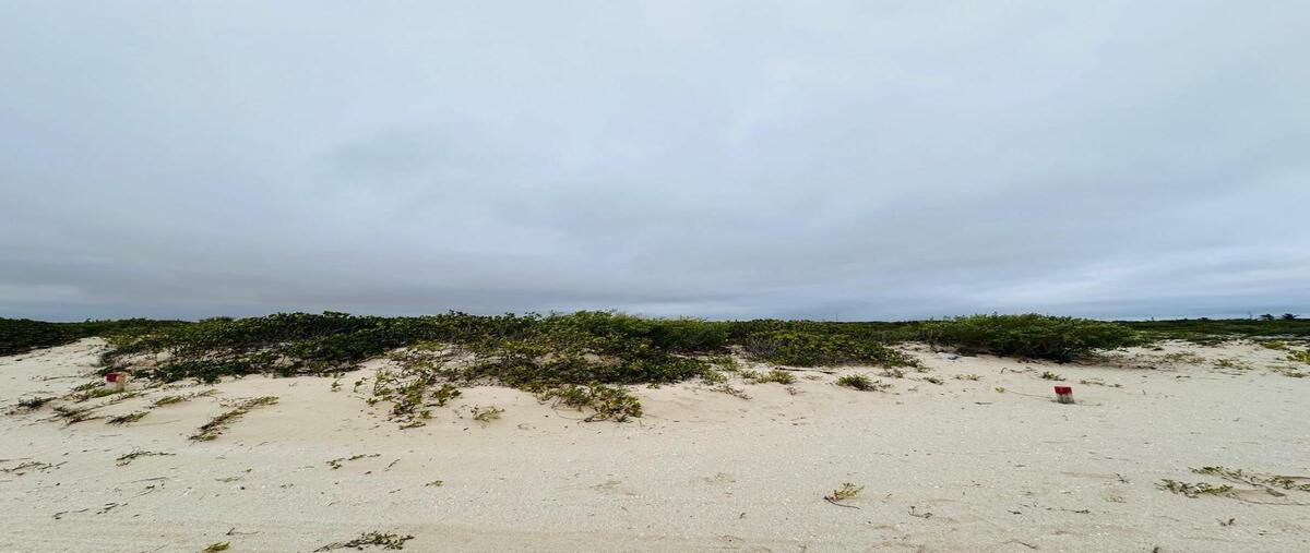 Foto de terreno habitacional en venta en chuburna puerto , chuburna puerto, progreso, yucatán, 29081254 No. 03