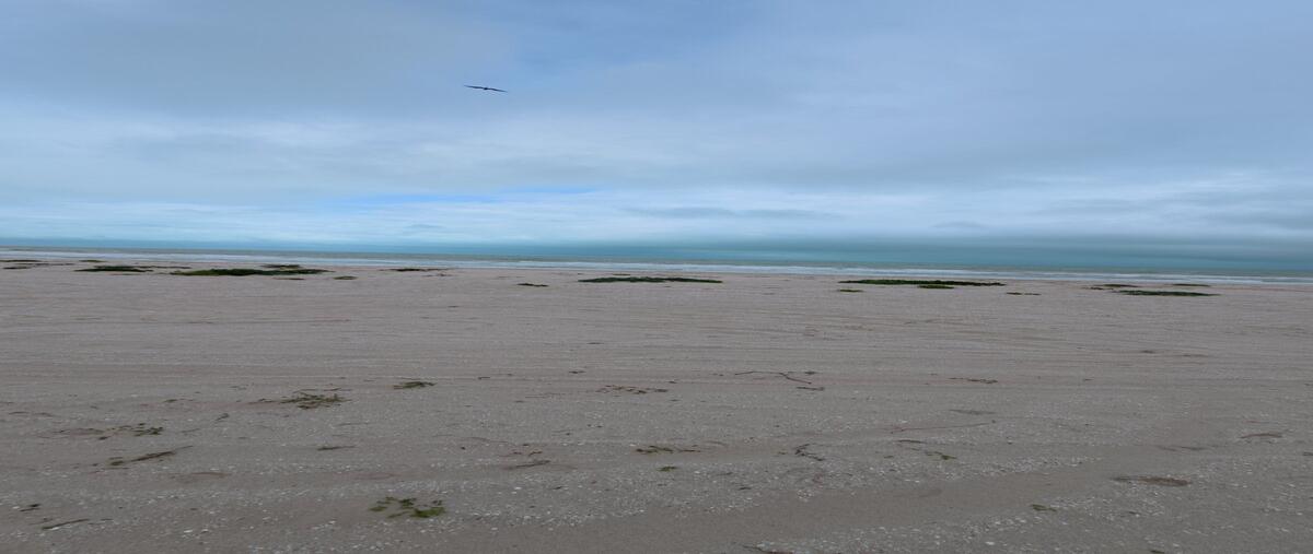 Foto de terreno habitacional en venta en chuburna puerto , chuburna puerto, progreso, yucatán, 29081254 No. 05
