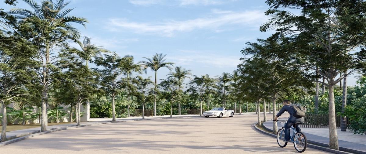 Foto de terreno habitacional en venta en  , chuburna puerto, progreso, yucatán, 25428411 No. 03