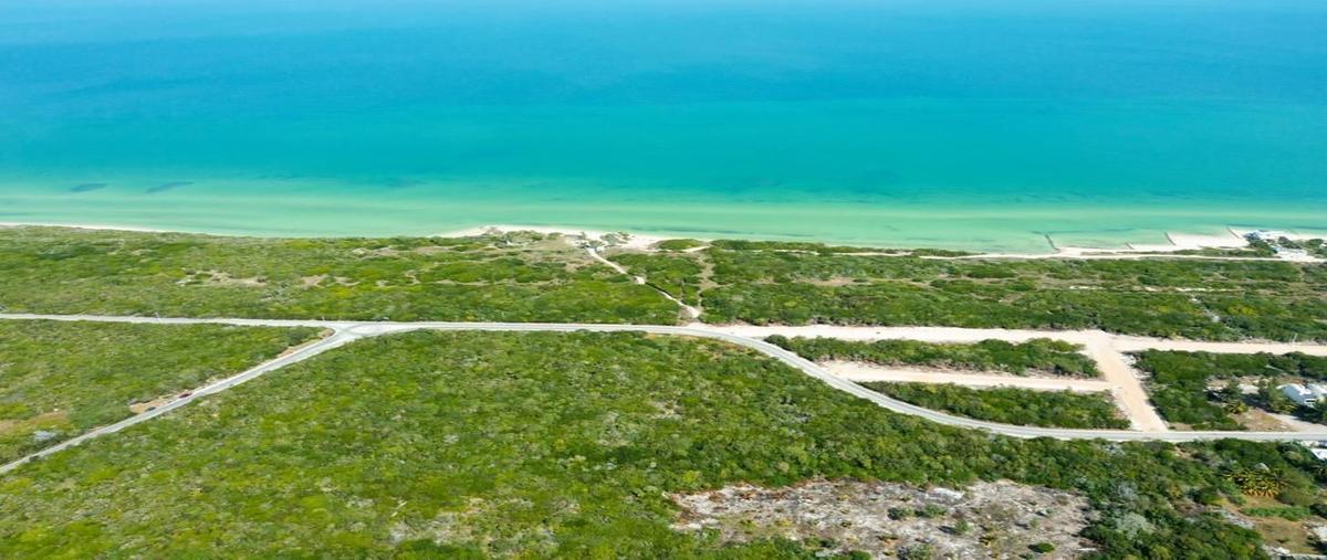 Foto de terreno habitacional en venta en  , chuburna puerto, progreso, yucatán, 27499975 No. 04