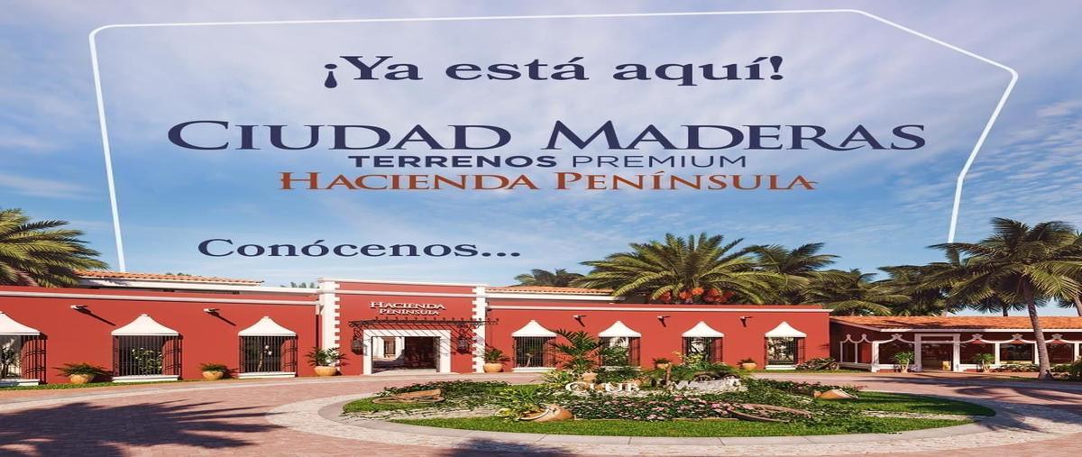 Foto de terreno habitacional en venta en  , chuburna puerto, progreso, yucatán, 28041302 No. 05