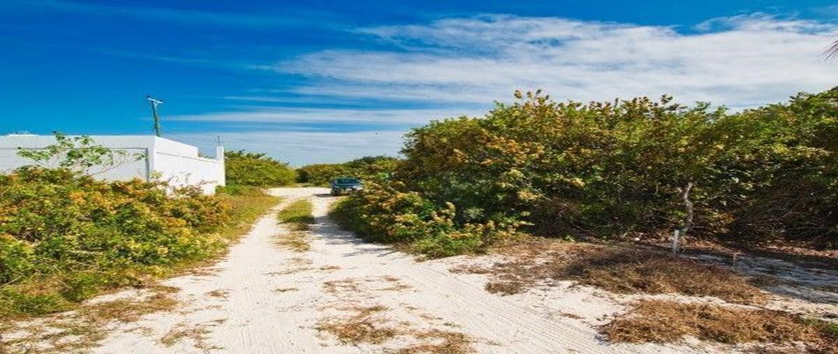 Foto de terreno habitacional en , chuburna puerto, progreso, yucatán, 28571449 foto 04 Foto de terreno habitacional en venta en , chuburna puerto, progreso, yucatán, 28571449 No. 04