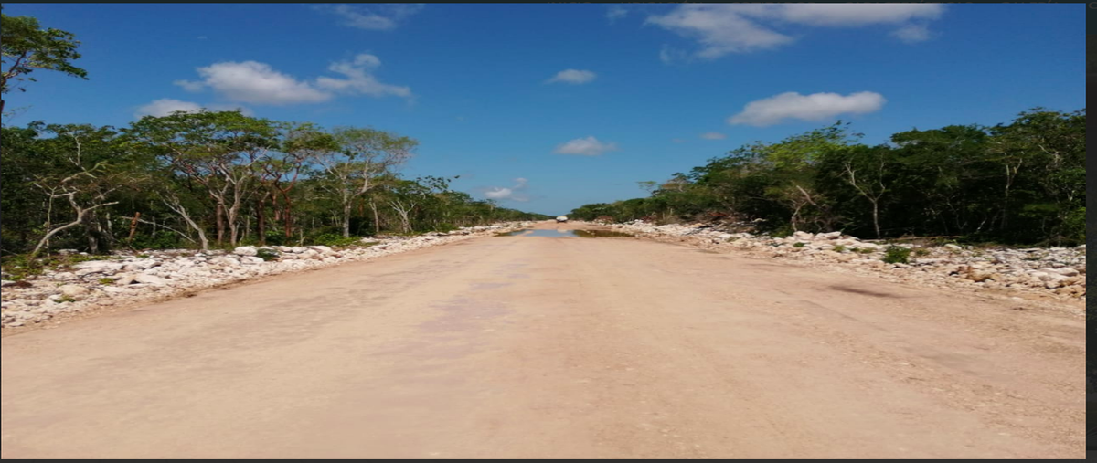 Foto de terreno habitacional en venta en  , chuburna puerto, progreso, yucatán, 0 No. 03