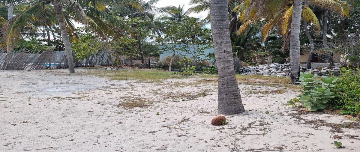 Foto de casa en venta en  , chuburna puerto, progreso, yucatán, 0 No. 04
