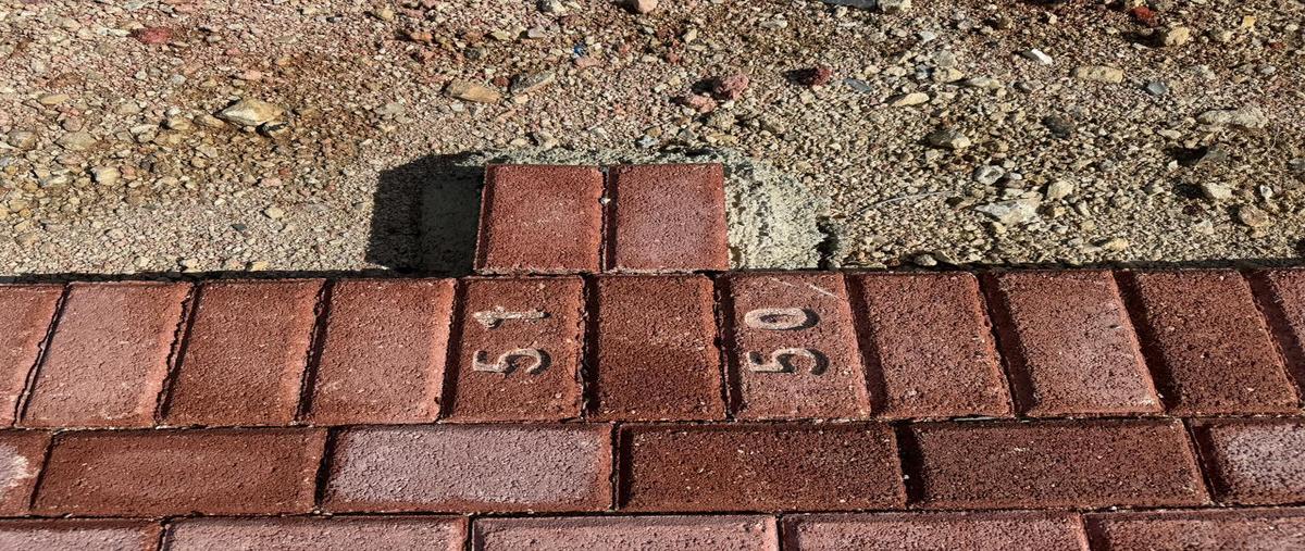 Foto de terreno habitacional en venta en  , chuburna puerto, progreso, yucatán, 0 No. 03