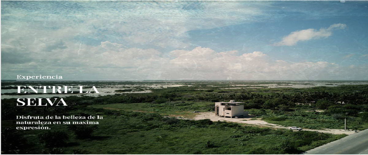 Foto de terreno habitacional en , chuburna puerto, progreso, yucatán, 0 foto 02 Foto de terreno habitacional en venta en , chuburna puerto, progreso, yucatán, 0 No. 02