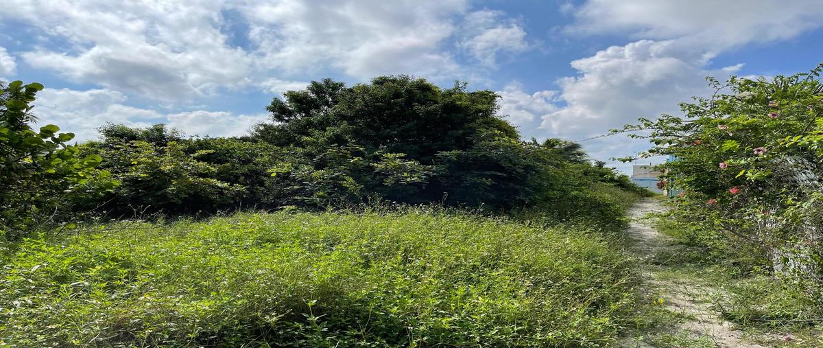 Foto de terreno habitacional en venta en  , chuburna puerto, progreso, yucatán, 0 No. 05