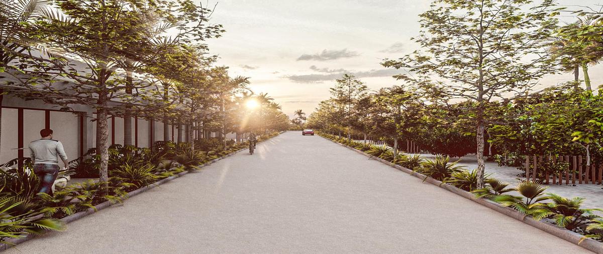 Foto de terreno habitacional en , chuburna puerto, progreso, yucatán, 0 foto 04 Foto de terreno habitacional en venta en , chuburna puerto, progreso, yucatán, 0 No. 04