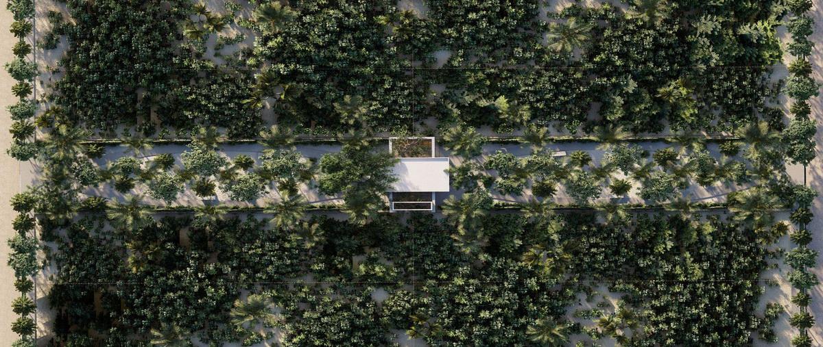 Foto de terreno habitacional en , chuburna puerto, progreso, yucatán, 0 foto 05 Foto de terreno habitacional en venta en , chuburna puerto, progreso, yucatán, 0 No. 05