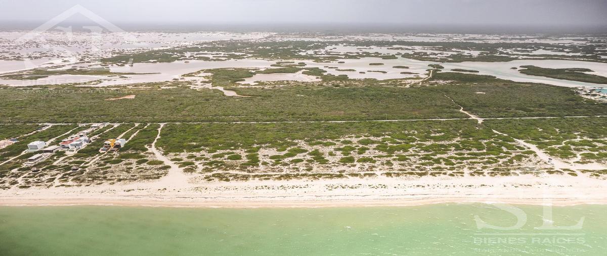 Foto de departamento en venta en  , chuburna puerto, progreso, yucatán, 30031662 No. 04