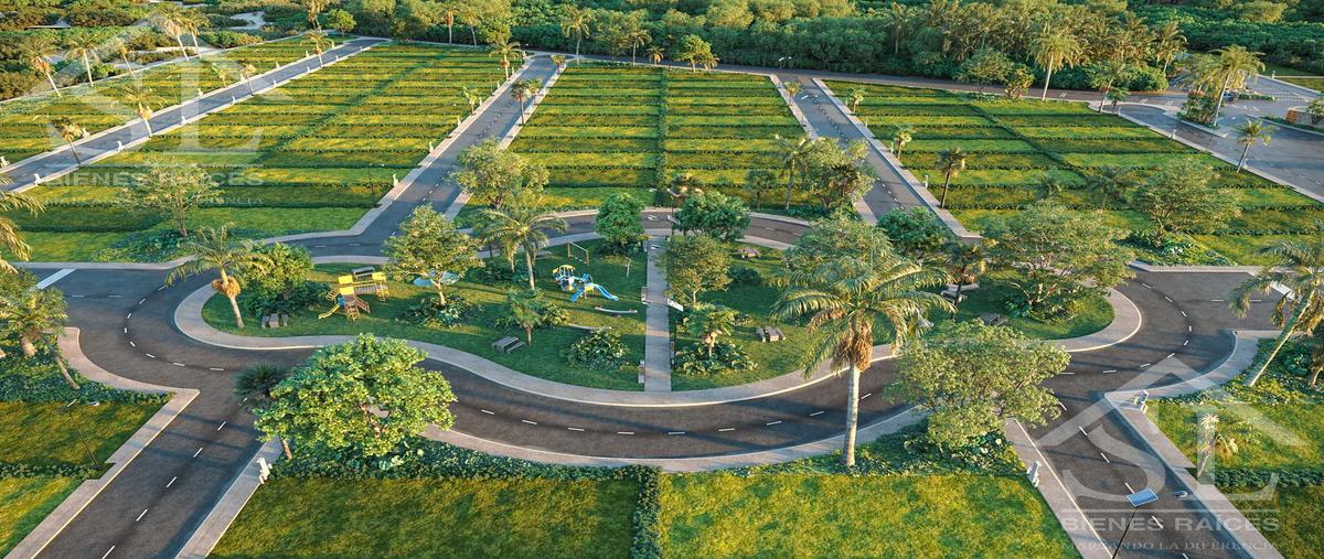 Foto de terreno habitacional en venta en  , chuburna puerto, progreso, yucatán, 0 No. 05
