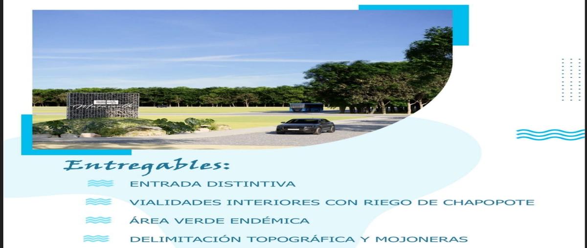 Foto de terreno habitacional en venta en  , chuburna puerto, progreso, yucatán, 0 No. 04