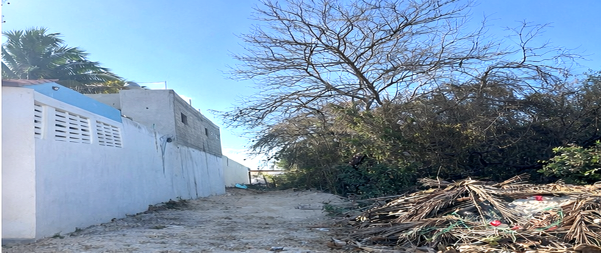 Foto de terreno habitacional en , chuburna puerto, progreso, yucatán, 0 foto 02 Foto de terreno habitacional en venta en , chuburna puerto, progreso, yucatán, 0 No. 02