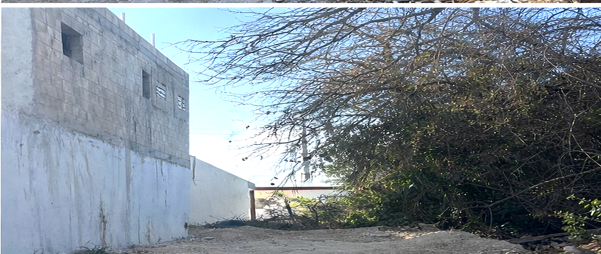 Foto de terreno habitacional en , chuburna puerto, progreso, yucatán, 0 foto 04 Foto de terreno habitacional en venta en , chuburna puerto, progreso, yucatán, 0 No. 04