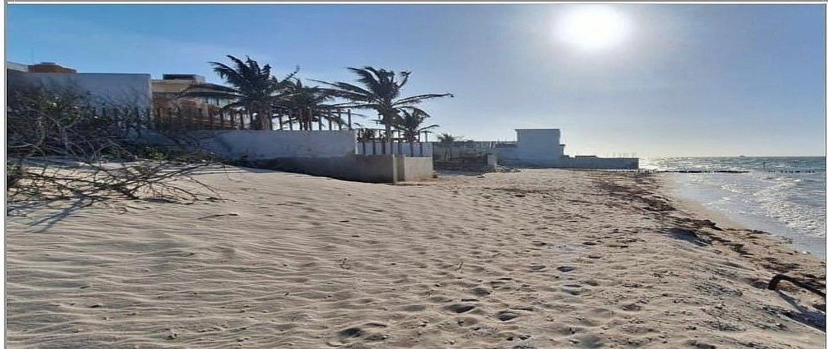 Foto de terreno habitacional en venta en  , chuburna puerto, progreso, yucatán, 31101387 No. 03