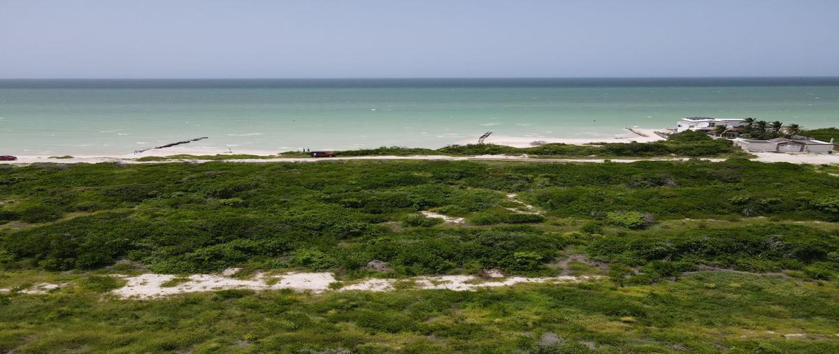 Foto de terreno habitacional en venta en  , chuburna puerto, progreso, yucatán, 31316725 No. 03
