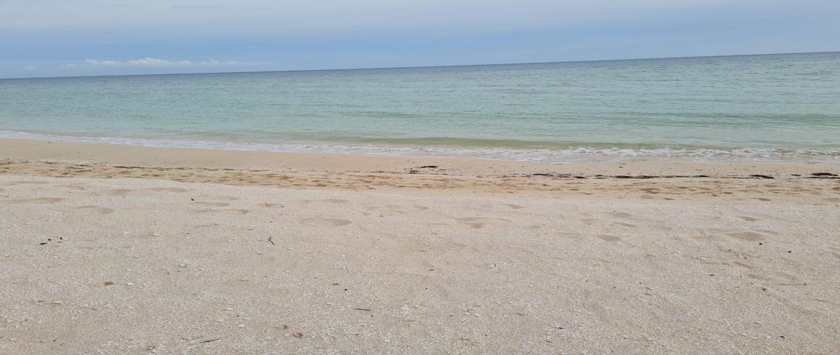 Foto de terreno habitacional en venta en  , chuburna puerto, progreso, yucatán, 31316725 No. 04