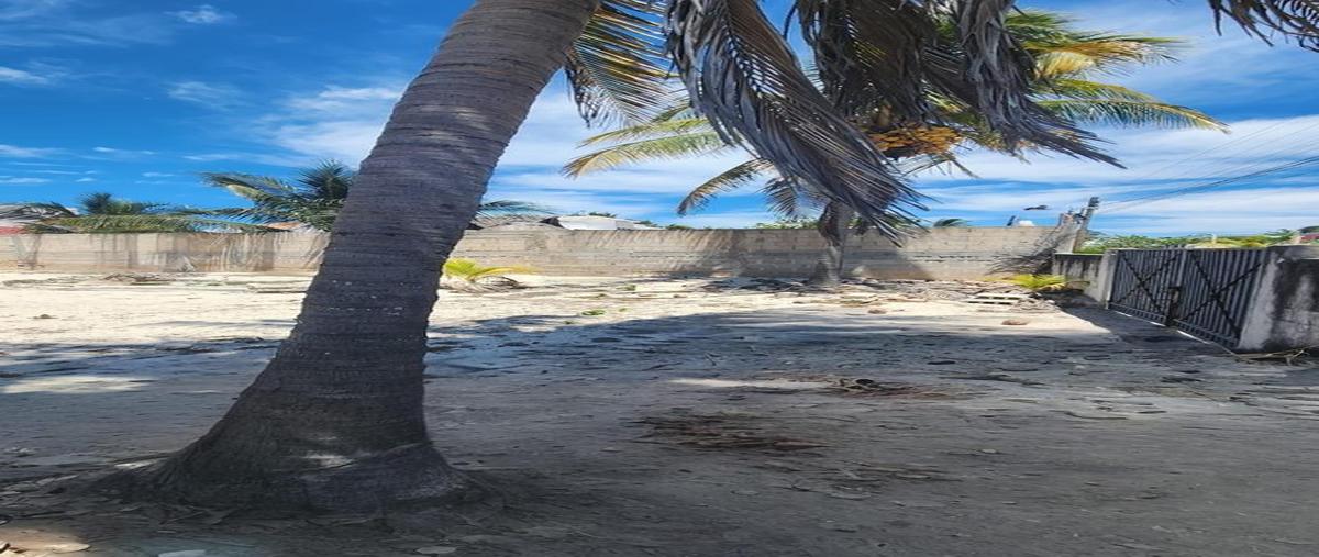 Foto de terreno habitacional en venta en  , chuburna puerto, progreso, yucatán, 0 No. 05