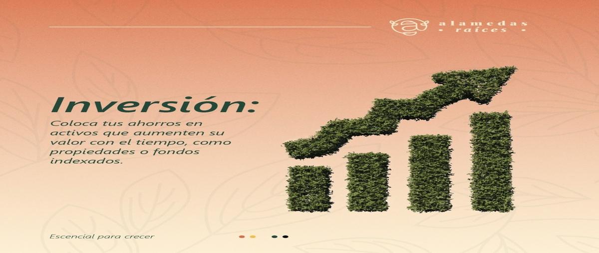 Foto de terreno habitacional en venta en chuburna puerto whi308490, chuburna puerto, progreso, yucatán, 28213641 No. 03