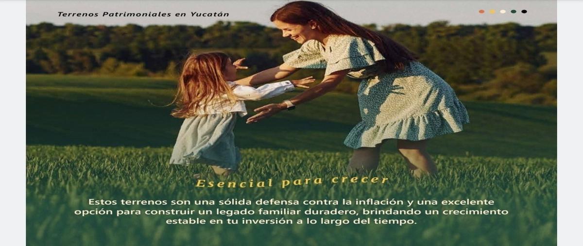 Foto de terreno habitacional en venta en chuburna puerto whi308490, chuburna puerto, progreso, yucatán, 28213641 No. 05